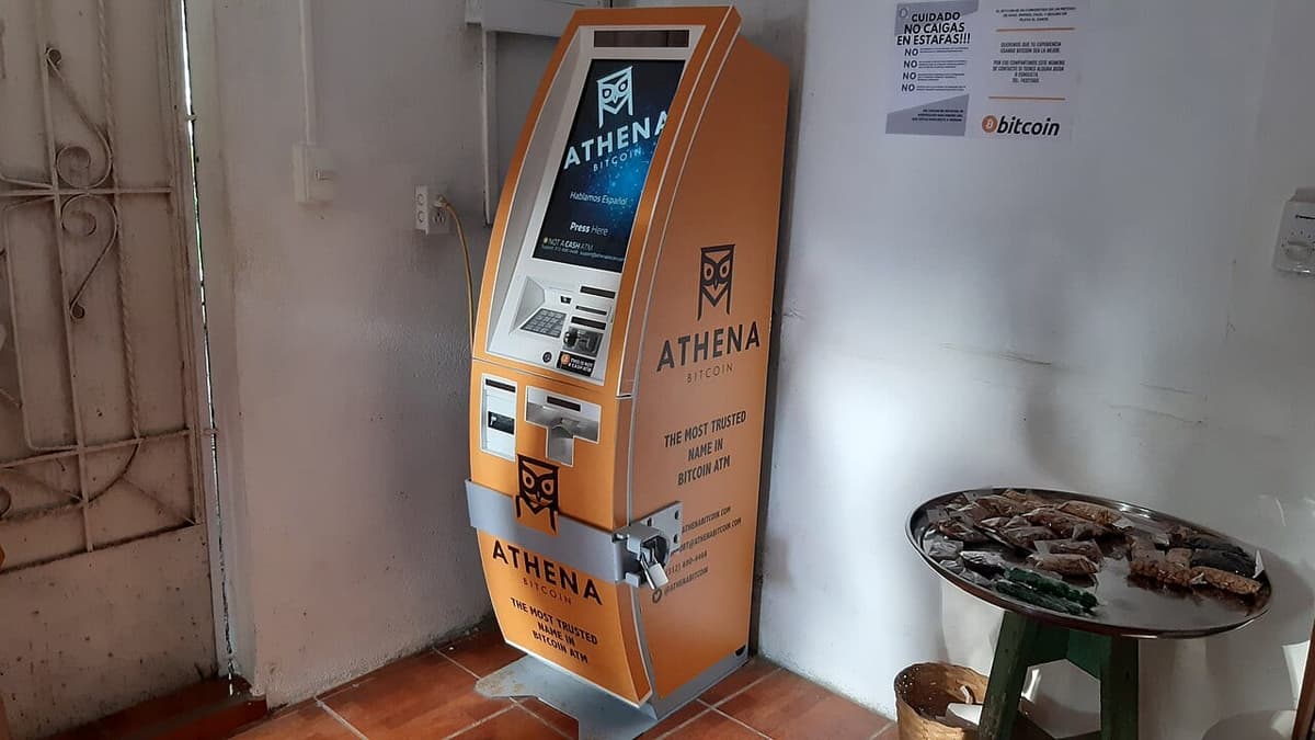 Foto da matéria: Cameron Winklevoss diz que é momento sem precedentes para comprar Bitcoin na queda