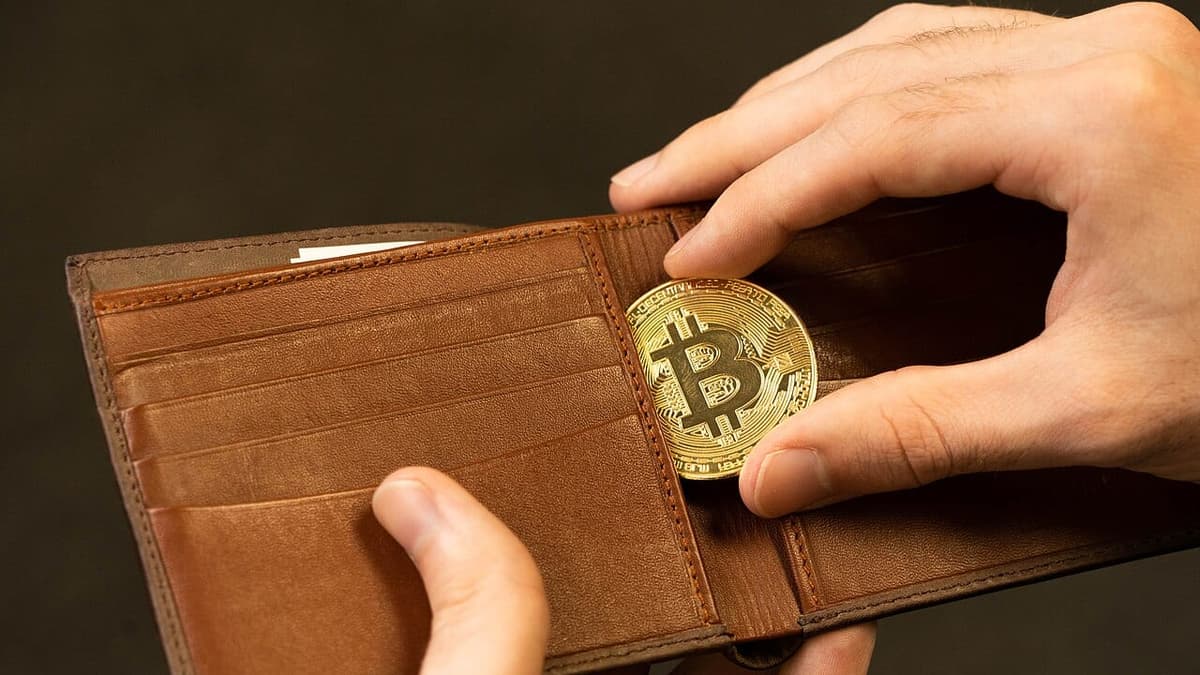 Foto da matéria: VanEck: Bitcoin está em fase de acumulação